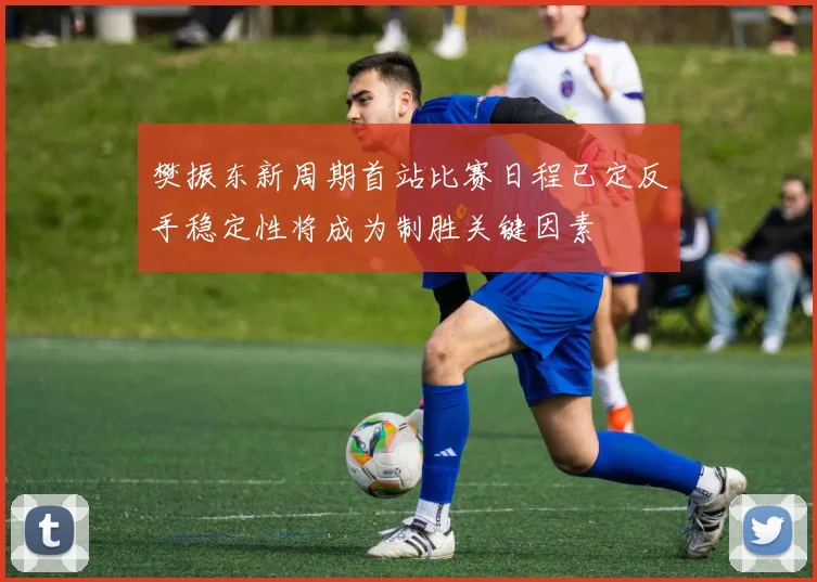 樊振东新周期首站比赛日程已定反手稳定性将成为制胜关键因素