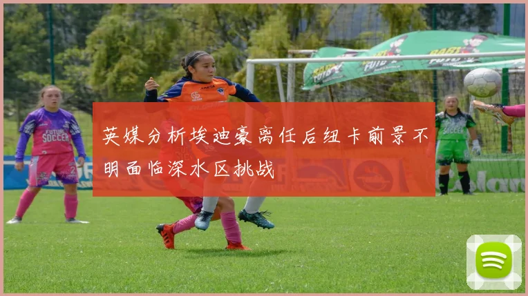 英媒分析埃迪豪离任后纽卡前景不明面临深水区挑战